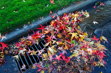 Plumbing blocked drains